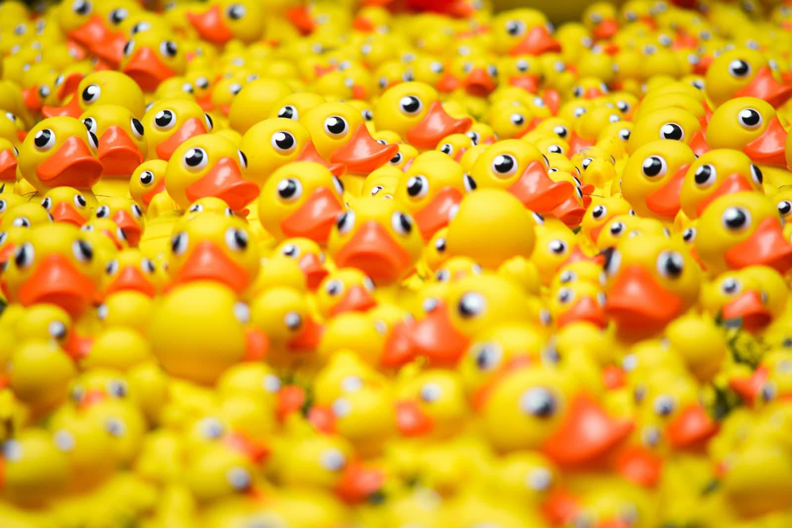 Hands-on with DuckDB