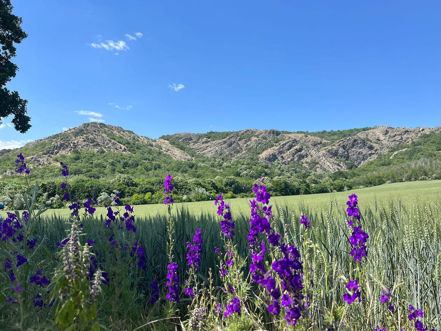 Breaking Free from Tutorial Hell: Tips for Aspiring Data Professionals