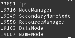 Terminal output of the jps command listing running Java processes with their PIDs: Jps, NodeManager, SecondaryNameNode, ResourceManager, DataNode and NameNode, showing the Hadoop HDFS and YARN services are up on this machine.