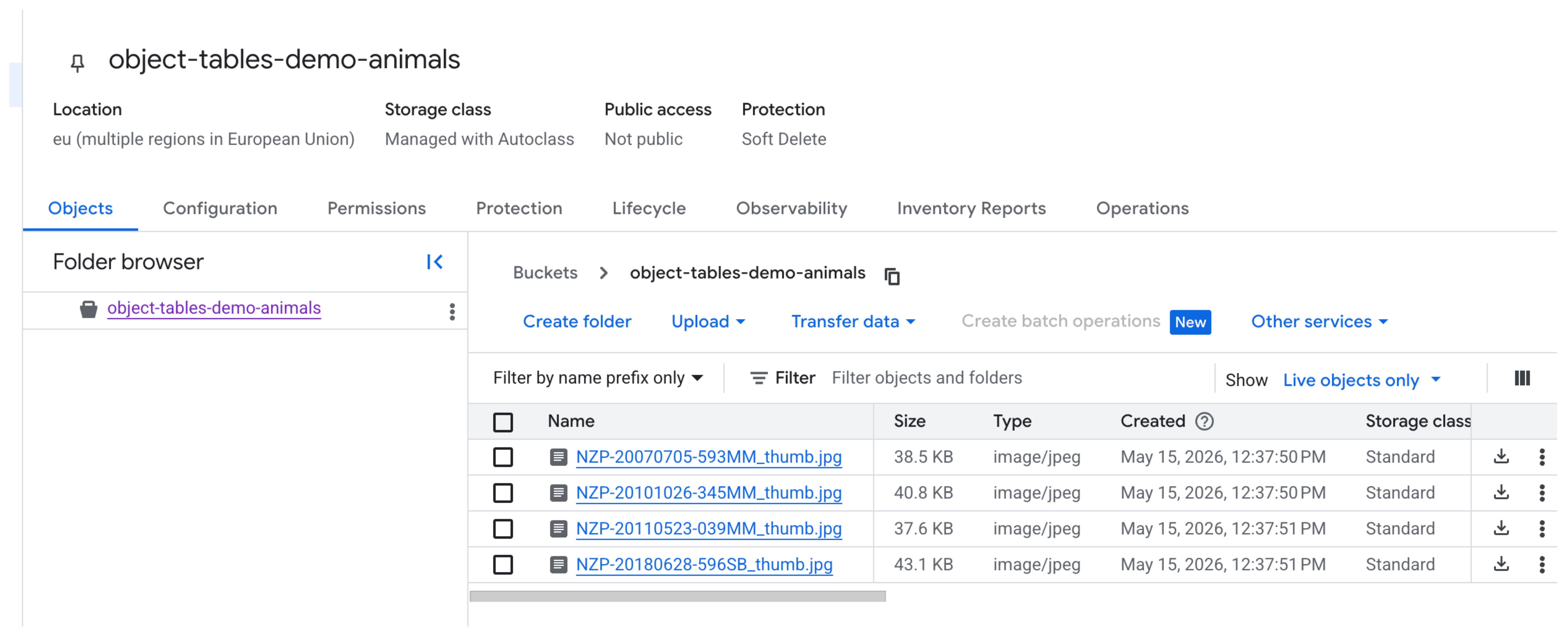 Google Cloud Storage console screenshot of the object-tables-demo-animals bucket (eu multi-region) on the Objects tab, listing four JPEG thumbnails such as NZP-20070705-593MM_thumb.jpg, each about 38 to 43 KB with type image/jpeg.