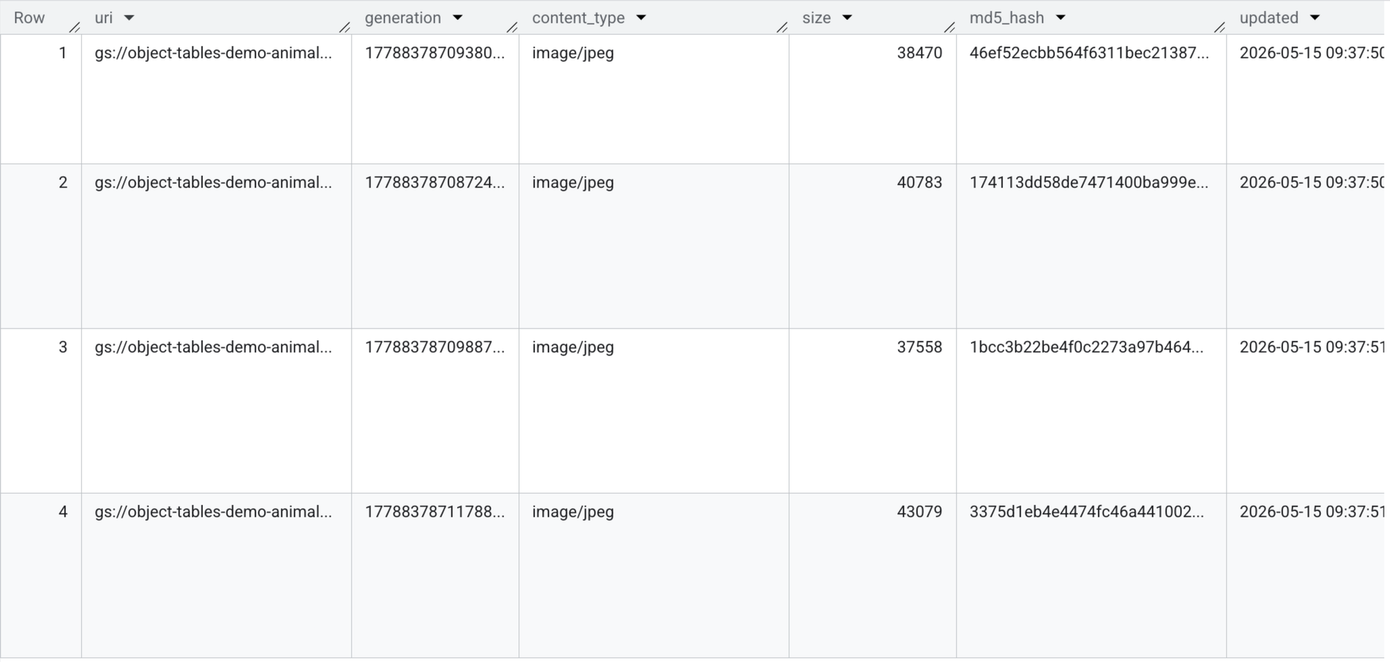 BigQuery results: four rows of the animals object table with columns uri, generation, content_type, size, md5_hash and updated; each uri starts with gs://object-tables-demo-animal..., content_type is image/jpeg, sizes are 38470, 40783, 37558 and 43079, and updated is 2026-05-15 09:37.