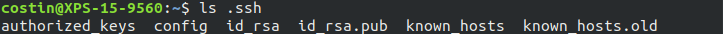 Terminal on the laptop XPS-15-9560 running ls .ssh, which lists the generated key pair id_rsa and id_rsa.pub alongside authorized_keys, config, known_hosts and known_hosts.old.