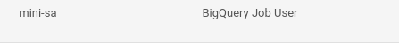 Google Cloud IAM project roles screenshot showing the service account mini-sa granted the BigQuery Job User role, which it needs to run BigQuery load jobs.