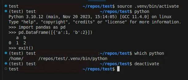 Terminal session in ~/repos/test: source .venv/bin/activate adds a (test) prompt prefix, Python 3.10.12 imports pandas and builds a DataFrame, which python points to /repos/test/.venv/bin/python, and deactivate returns to the normal prompt.